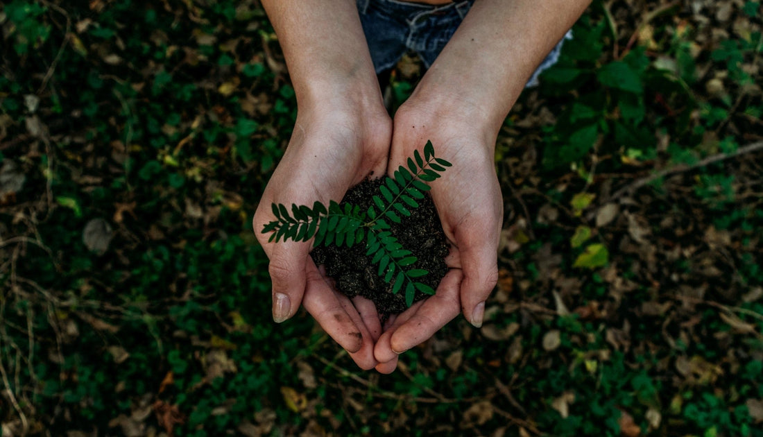 Happy Belated Earth Day! - Simply Bliss