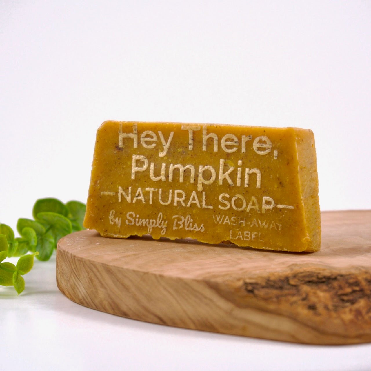 Hey There, Pumpkin Bar Soap - Simply Bliss