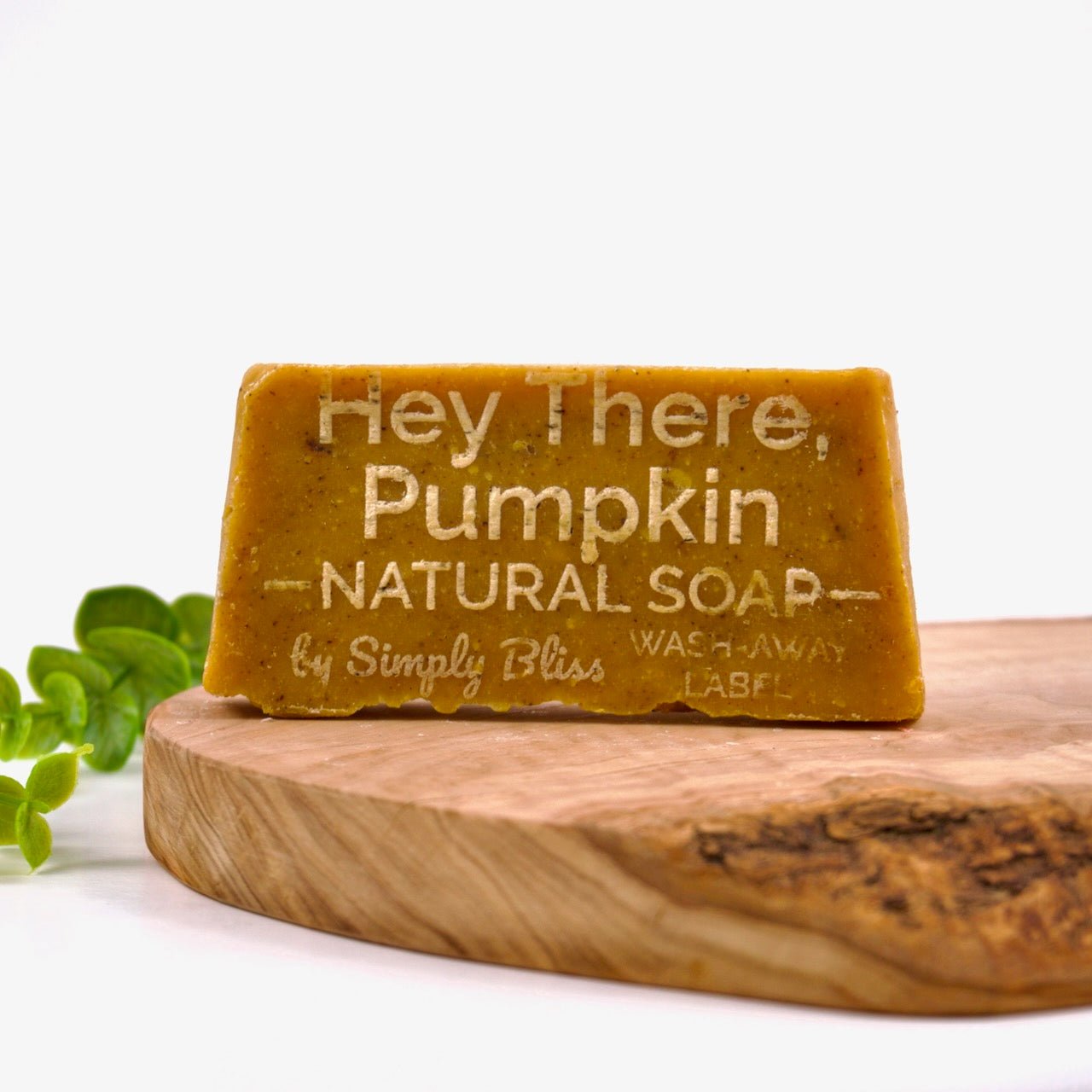 Hey There, Pumpkin Bar Soap - Simply Bliss