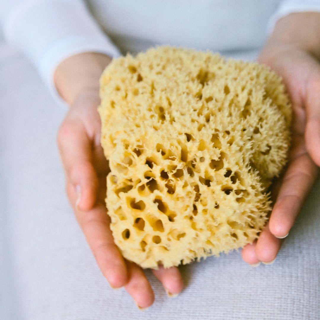 a sea sponge held in a womens hands