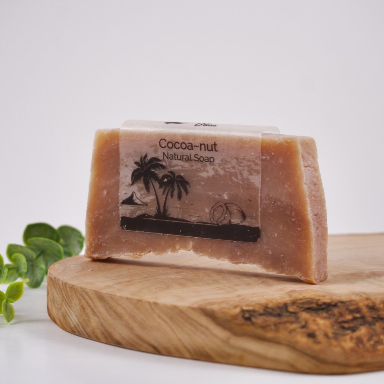 Cocoa~nut Bar Soap - Simply Bliss