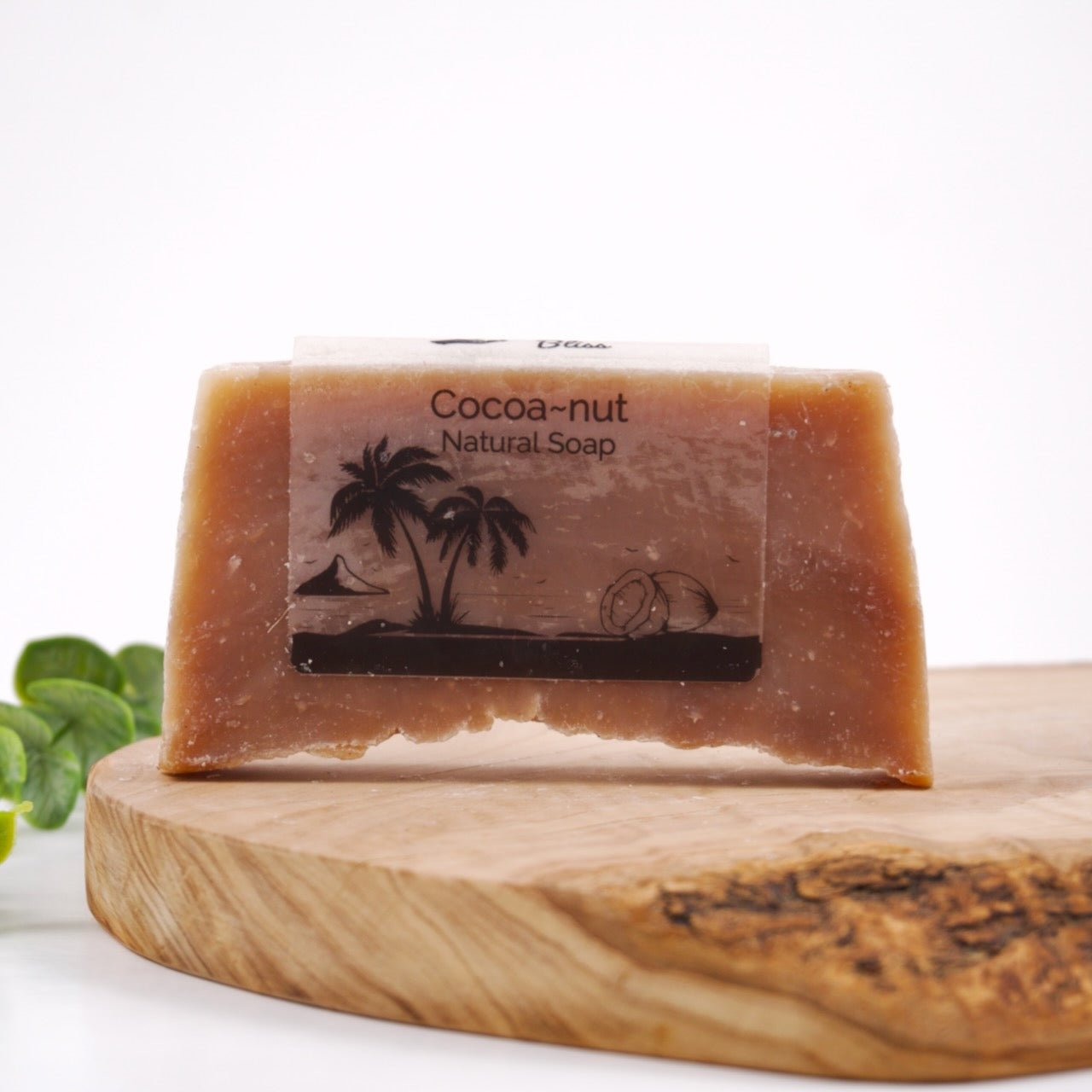 Cocoa~nut Bar Soap - Simply Bliss