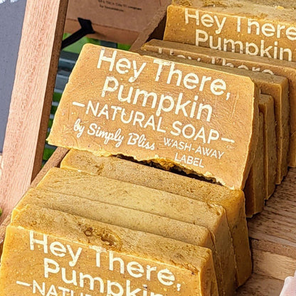 Hey There, Pumpkin Bar Soap - Simply Bliss