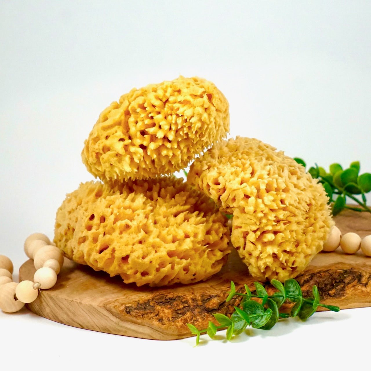 Sea Sponge, Sustainably Harvested - Simply Bliss